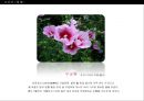 ★신발 디자인 (Shoes Design) ‘혜’디자인 ＋‘로퍼’디자인.ppt 24페이지
