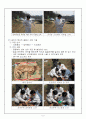 [실험·실습교육 계획서] 송아지 소화기계 특징관찰 및 질병진단 (해부실습) 3페이지