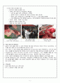 [실험·실습교육 계획서] 송아지 소화기계 특징관찰 및 질병진단 (해부실습) 5페이지