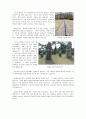 역사산책 발표레포트,왕릉풍수와 조선의 역사
 4페이지
