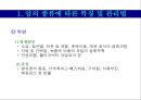 암의 종류와 영영요법 및 관리법 [암종류와 영영요법] {암의 종류에 따른 특징 및 관리법, 암의 예방, 영양소와 식품이 암에 미치는 영향 암을 이기는 영양요법}.ppt 3페이지