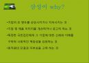 이벤트경영론 - 스포츠이벤트, k리그이벤트 8페이지