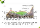 이벤트경영론 - 스포츠이벤트, k리그이벤트 12페이지