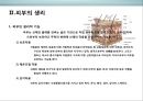 피부皮膚의 생리&유형(문제성피부)에 대한 이해 및 관리  (피부의 유형) 12페이지