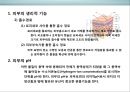 피부皮膚의 생리&유형(문제성피부)에 대한 이해 및 관리  (피부의 유형) 14페이지