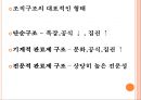 거시적 조직관리.pptx 11페이지