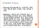 거시적 조직관리.pptx 18페이지