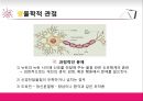 ★[정상과 비정상] 정상과 비정상 구분, 비정상의 특징, 정상의 특징, 생물학적 비정상, 정신분석적 비정상, 비정상 행동, 비정상 인지주의★.ppt
 11페이지