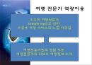 Handcraft Travel - Zicasso 지카소 [Zicasso 경영전략] Zicasso 기업분석, Zicasso 특징, Zicasso 마케팅 전략, Zicasso 마케팅, Zicasso 전략, SWOT분석, 여행업.pptx 30페이지