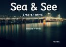 [팜플렛 컨셉, 제작과정] 해운대 & 광안리 Sea & See.pptx 1페이지