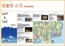 [팜플렛 컨셉, 제작과정] 해운대 & 광안리 Sea & See.pptx 11페이지
