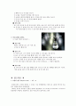 [수업지도안] (3) 기체의 성질 7페이지