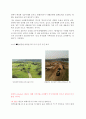 4대강 살리기의 핵심 주요 산업,Rivers Restoration Project, 4대강 살리기 문제점, 4대강 살리기 현황, 4대강 살리기의 나아갈 방향 21페이지