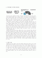 [맞벌이have a dual income 가족 발표] 맞벌이 가족 현황, 맞벌이 가족 문제점, 맞벌이 가족 복지정책, 맞벌이 가족 외국사례, 외국 맞벌이 가족 복지, 맞벌이 가족 정책 방향 제언, 맞벌이 가족 정책들 9페이지