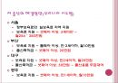 출산율 저하 14페이지