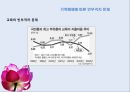 경제위기와 가족해체 13페이지