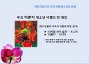 경제위기와 가족해체 23페이지
