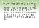 북한과 미국의 군사력과 군사적 쟁점.ppt 20페이지