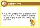 강원랜드를 중심으로  5페이지