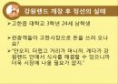 강원랜드를 중심으로  28페이지