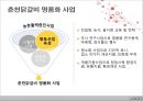 춘천 닭갈비  15페이지