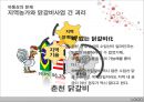 춘천 닭갈비  23페이지