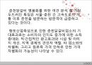 춘천 닭갈비  30페이지