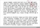 춘천 닭갈비  31페이지