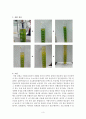 자체 촉매 반응(Autocatalysis) 3페이지