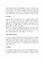 [발전계획developmental plan 의 유형] 발전계획의 분류(종류) 8페이지