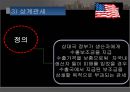 ★우수레포트★[미국의 통상정책, 통상분쟁 사례] 미국의 통상정책, 미국의 통상 수단, 미국의 세이프가드 미국 반덤핑관세, 미국 상계관세 분석, 미국의 통상분쟁 사례 분석, 미국과 EU의 바나나분쟁, 자유무역,참 17페이지