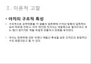 아치(arch)에 대한 실험점 연구 4페이지