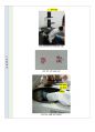 식품화학실험A+)식염 정량 (NaCl 정량) 5페이지