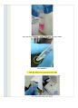 식품화학실험A+)식염 정량 (NaCl 정량) 6페이지