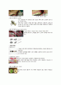 치과齒科교정학 7페이지