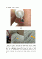 [발표와 토의 사업기획안] QR코드 목줄 사업기획서 (반려동물,애완동물) 13페이지