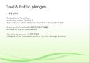 Comparative analysis of welfare policies from 3 parties [영어,영문].pptx 13페이지