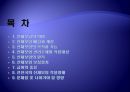 [산재보험 나아갈 방향] 산재보험 의미, 산재보험 배경, 산재보험 기능, 산재보험 목적, 산재보험 원칙,산재보험, 산재보험 보상, 산재보험 절차, 산재보험 적용, 산재보험 나아갈 방향 2페이지