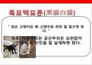 중국경제(中國經濟)의 고속성장 요인과 시사점  : 중국경제의 고속성장.pptx 10페이지