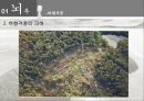 뇌우와 토네이도.pptx 15페이지