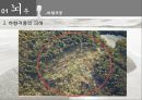 뇌우와 토네이도.pptx 16페이지