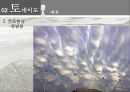 뇌우와 토네이도.pptx 29페이지