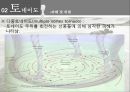 뇌우와 토네이도.pptx 35페이지