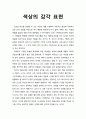 [색채치료/色彩治療/Color Therapy] 색상의 감각 표현에 대한 이해 1페이지