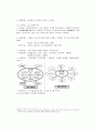 추천레포트[청소년 방과후 아카데미] 청소년 방과후 아카데미 배경, 방과후 아카데미 사업 특징, 방과후 아카데미 사업 사례, 방과후 아카데미 사업 예시, 시흥시 방과후 아카데미사업,2012년도 사업계획
 6페이지