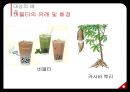 ‘버블트리 (bubble Tree)’ 의 마케팅 전략 - 버블티의 유래 및 배경,브랜드마케팅,서비스마케팅,글로벌경영,사례분석.pptx 6페이지