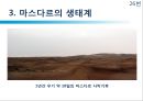 [친환경 도시 레포트] 마스다르의 도전 - 기후변화와 자원고갈, 기존도시, 마스다르 생태계, 효과.pptx 24페이지