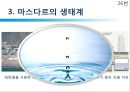[친환경 도시 레포트] 마스다르의 도전 - 기후변화와 자원고갈, 기존도시, 마스다르 생태계, 효과.pptx 25페이지