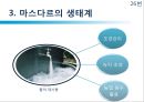 [친환경 도시 레포트] 마스다르의 도전 - 기후변화와 자원고갈, 기존도시, 마스다르 생태계, 효과.pptx 26페이지