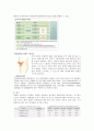 colon cancer 결장암  3페이지